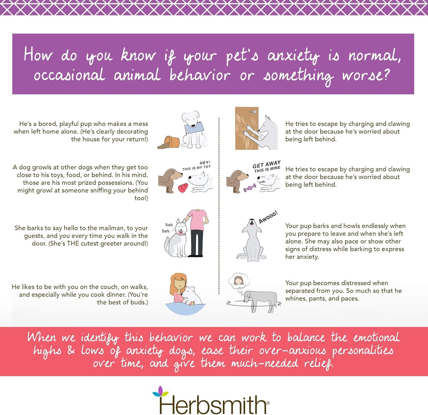 Calm Shen – Herbal Blend for Dogs & Cats – Natural Anxiety Remedy for Dogs & Cats – Feline and Canine Calming Supplement – 150G Powder