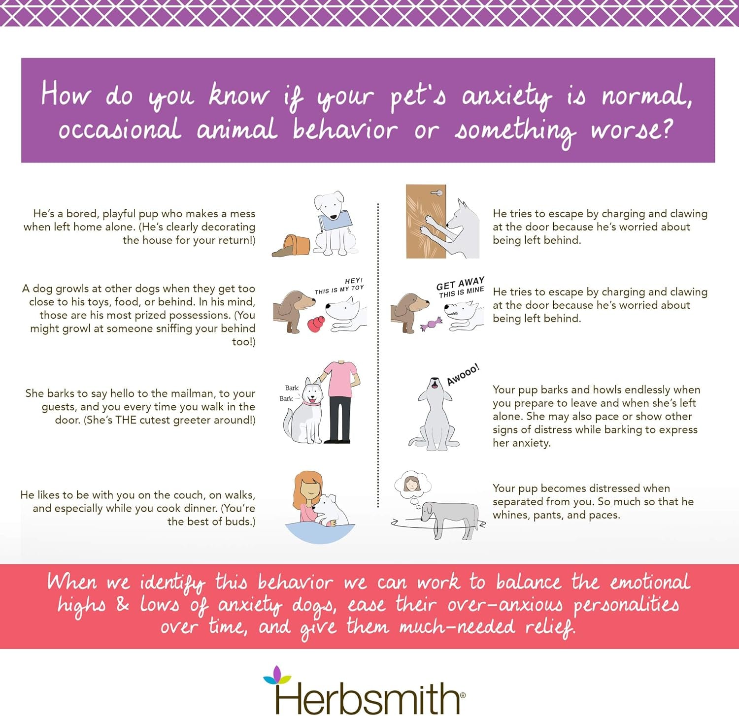 Calm Shen – Herbal Blend for Dogs & Cats – Natural Anxiety Remedy for Dogs & Cats – Feline and Canine Calming Supplement – 150G Powder